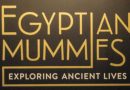 Egyptian Mummies at Sydney’s Powerhouse Museum #PowerhouseMuseum #EgyptianMummies