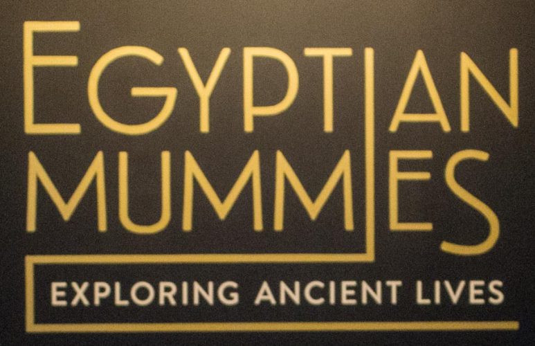 Egyptian Mummies at Sydney's Powerhouse Museum #PowerhouseMuseum #EgyptianMummies